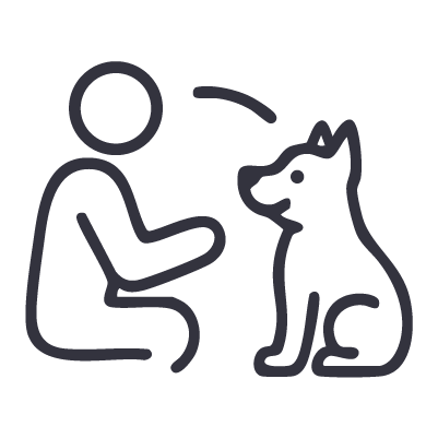 Servicios Invividuales. RomAcan