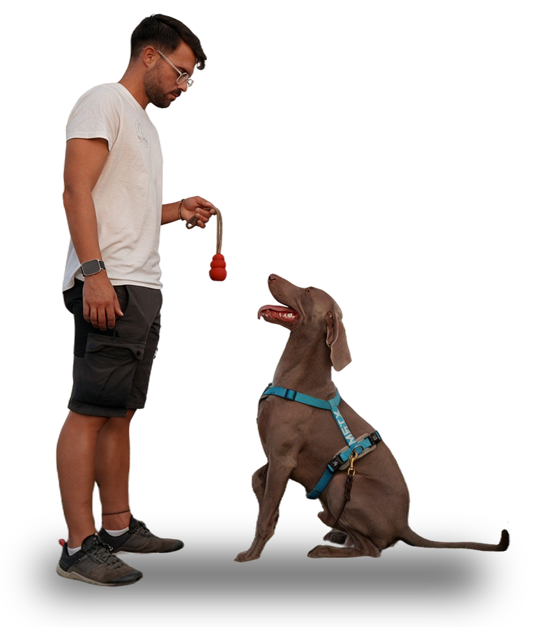 Detección Canina Online. RomAcan